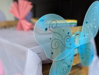 A Budget-Friendly But Beautiful Butterfly Birthday Bash