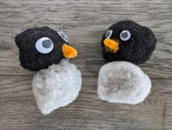 A Quick, Easy, & Inexpensive How-to – Pom Pom Penguin Craft