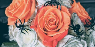 Beautiful Homemade Halloween Bouquets with a Quick & Easy STEM Activity
