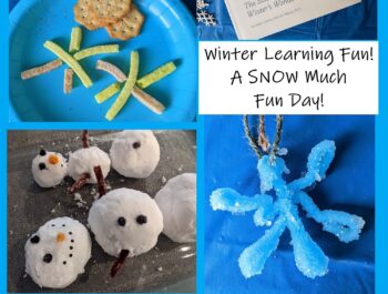 Winter Learning Fun – An Amazing Day Studying Snow & Snowflakes