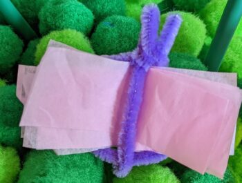 Easy & Inexpensive How to – A Pipe Cleaner & Tissue Butterfly Craft