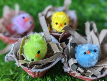 A Cute, Inexpensive Baby Chick Nest Craft for Kids!