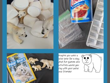 An Easy & Amazing Learning Fun Day – Playing with Polar Bears