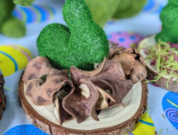 An Easy & Inexpensive Mini Bunny Garden Craft for Kids