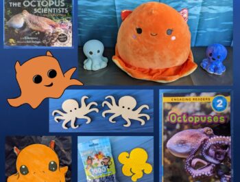 Amazing Ocean Week – Dive Into The Midnight Zone: Dumbo Octopus