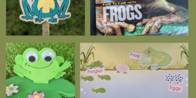 Awesome Amphibian Week – An Amazing, DIY Camp: Frog Day