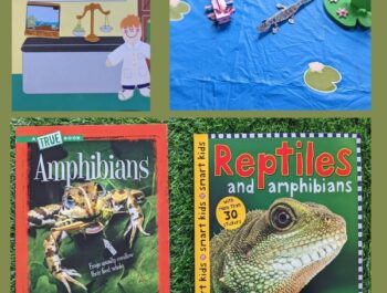 Awesome Amphibian Week – An Amazing, DIY Camp: Intro Day