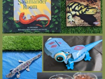 Awesome Amphibian Week – An Amazing, DIY Camp: Sensational Salamanders