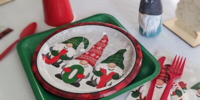 Easy & Inexpensive Ideas for the Ultimate Christmas Gnome Themed Party