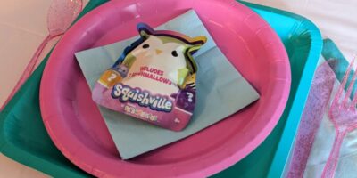 The Most Amazing Squishmallows Party – Easy & Inexpensive Ideas