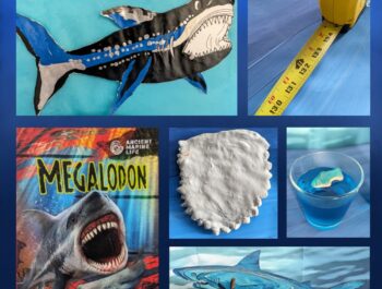 Amazing Prehistoric Sea Creatures – Stunning Sea Monsters Week: Megalodon Day