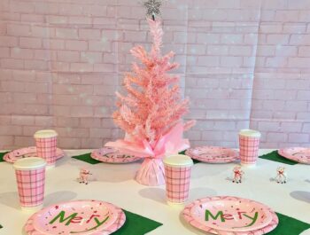 A Magical Pink Winter Wonderland Party – Easy & Inexpensive Ideas